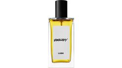Vanillary 100 ml