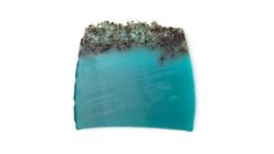 Sea Vegetable