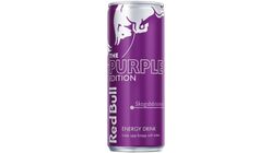 Red Bull Energy Drink Forest Berry 250ml