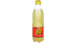 Schweppes Citrus Zero | 0.5l
