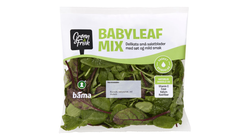 Grønn & Frisk Babyleaf Mix | 65g