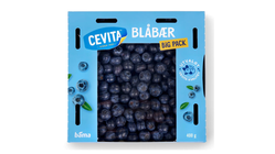 Blåbær | 400g