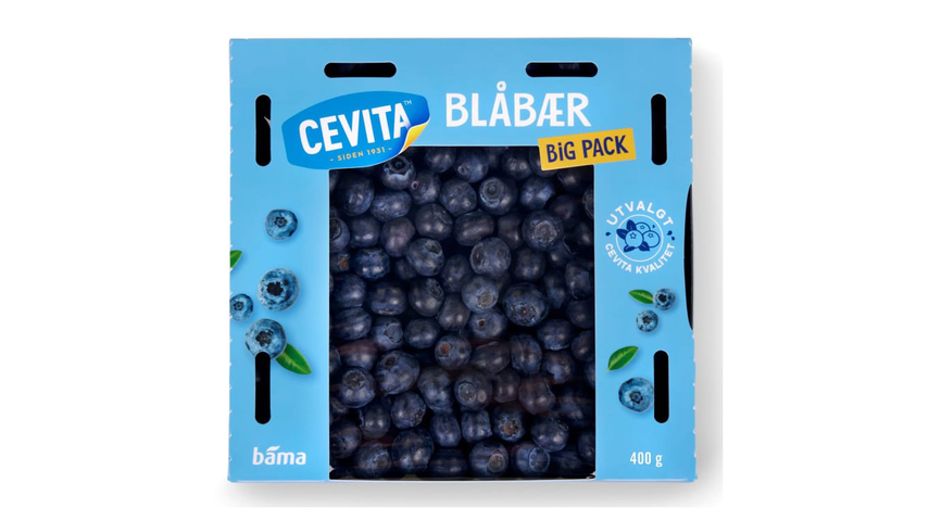 Blåbær | 400g