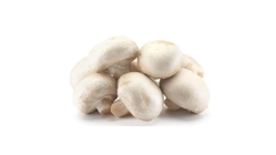 Sopp Champignon | 8-10stk