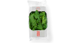 Urt Bladpersille | 40g