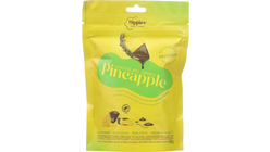 Fruit Dips Ananas Sjokolade | 100g