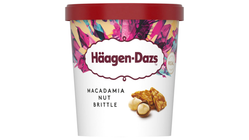 Haagen Dazs Macadamia 460ml