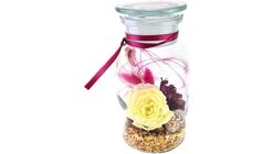 Apotherglas cream berry
