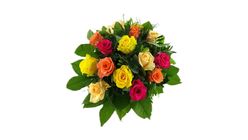 Bunte Rosenfreude