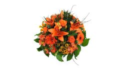 Orange Dream