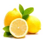 Citrony | 4 kusy (8453)
