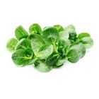 Salát polníček | 125 g (5896)