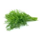 Kopr řezaný | 25 g