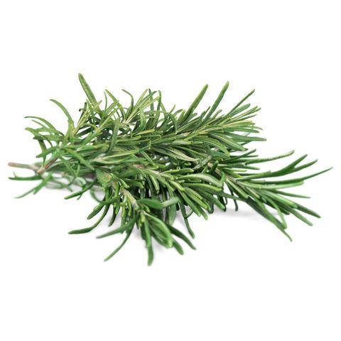 Rosemary | 20 g