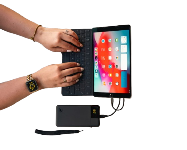 Aqiila Powerbank Powerbird B10B 10000 mAh 20W