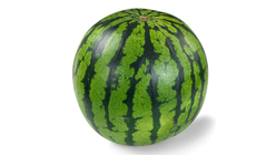 Vannmelon Hel | 1stk