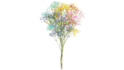 Bunches Candyfloss | 40cm