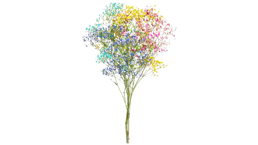 Bunches Candyfloss | 40cm