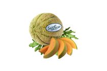 SanLucar Cantaloupe dinnye 1 db