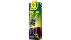 Rauch Happy Day Schwarze Johannisbeere 1l
