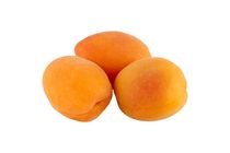 Apricot