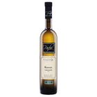 Kerner - dry, Š. 2419, selection from grapes 2024, Vinofol Novosedly winery | 0.75 l