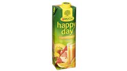 Happy Day Multivitamin 100% 1,0L
