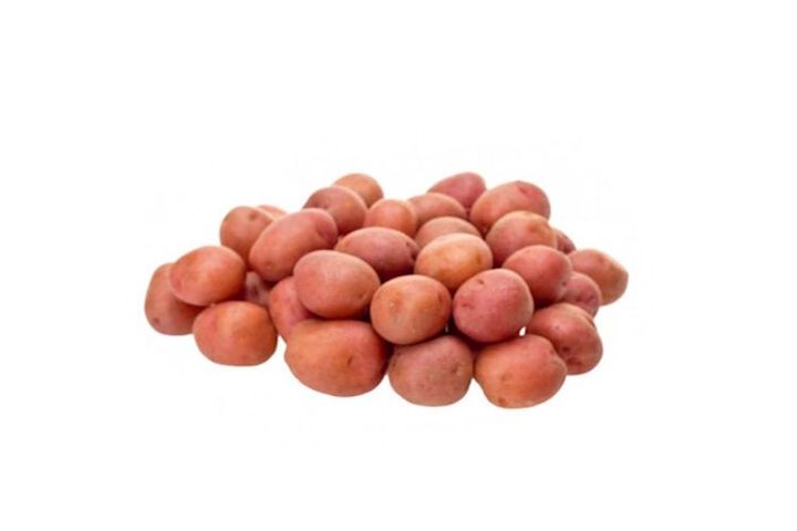 Parázsburgonya új 1 kg