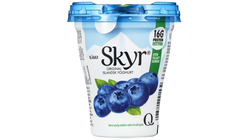 Skyr Blåbær | 160g