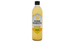 Norsk Kombucha Gingerade | 0.5l
