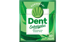 Dent Eukalyptus | 24g
