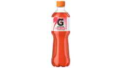 Gatorade Fruit Punch u/Sukker | 0.5l