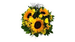 Sonnenstrahlen medium