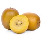 Kiwi Gold | 2 x 1 kus