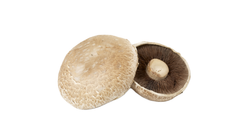 Portobellosopp | 2stk