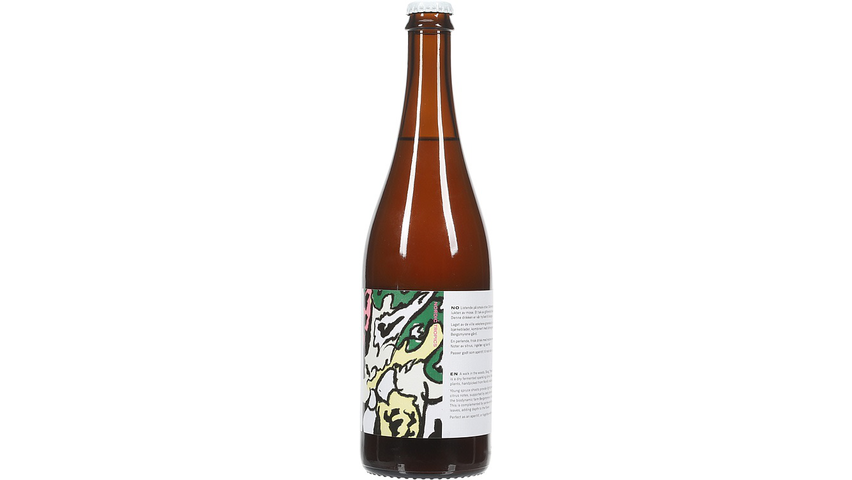 Villbrygg Skog 03 Perlende Botanisk | 0.75l