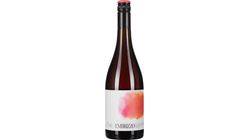 Gut Hardegg Embrizzo Traubenkombucha alkoholfrei 0,75l
