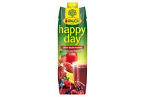 Rauch Happy Day 100% Multivitamin Mixed Fruit Juice with 8 Vitamins 1 l