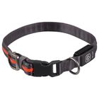 Luminous USB LED collar Dog Fantasy M-L orange | 1 piece