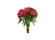 Alstroemeria Bukett