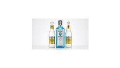 Das "Premium Gin-Tonic" Kit