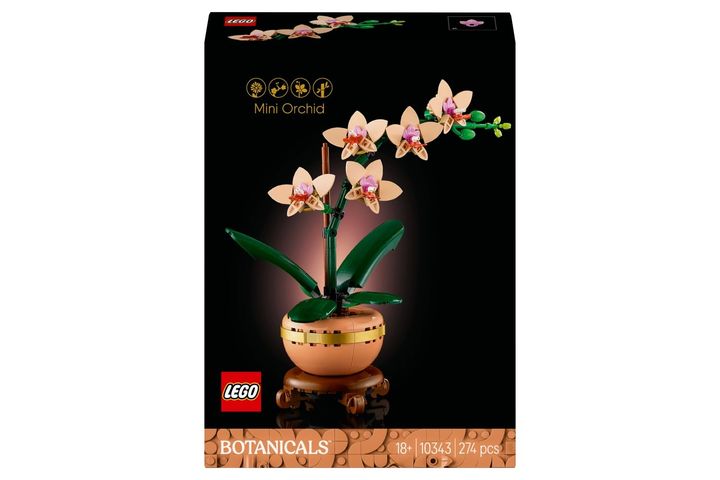 LEGO Botanicals 10343 Mini orchidea