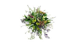 Blumenwiese