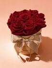 Medium Beige Rosa Rosor