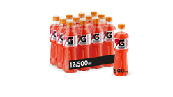 Gatorade Fruit Punch | 12 x 0.5l