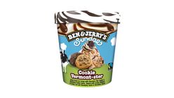 Ben & Jerry'S Ice Cream Sundae Cookie Vermont-Ster 427ml