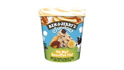 Ben & Jerry's Peanut Butter Cup 465ml