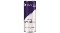 ORGANICS minty blackberry by Red Bull 0.33 l
