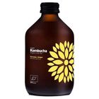VIGO Kombucha BIO Turmeric and Ginger | 330 ml