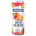 Amundsen Sex on the beach 4,5% plech | 250 ml
